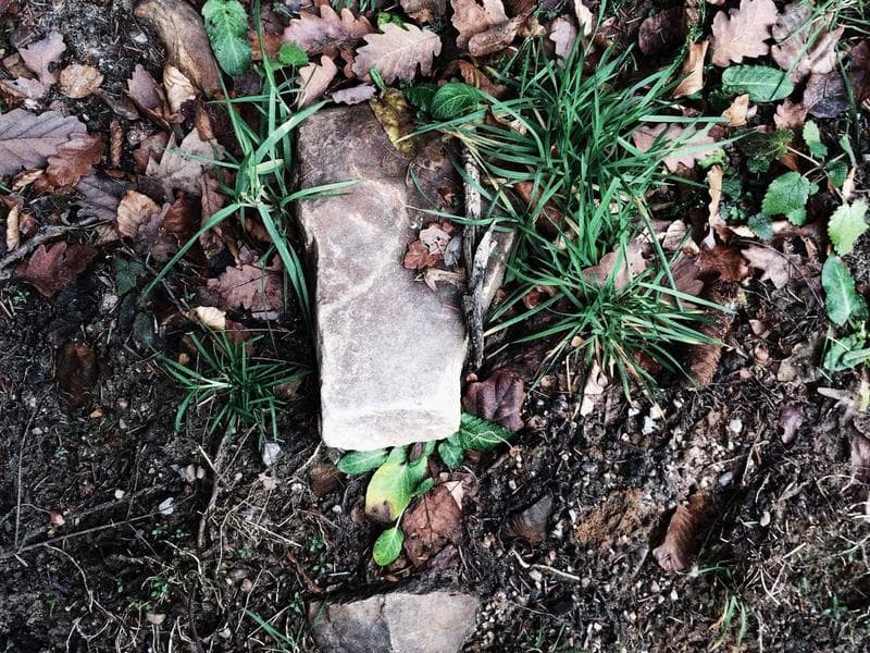 Global Economic Shifts and Their Impact on Businesses